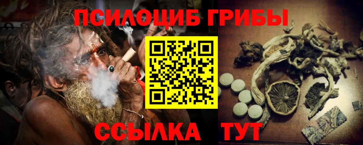 Галлюциногенные грибы MAGIC MUSHROOMS  Вход с VPN  Бийск  Псилоцибиновые грибы прущие грибы 